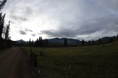 DSC_0052 (Large).JPG